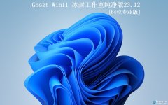 ⹤ҡGhost Win11 64 רҵ2023.12(23H2)